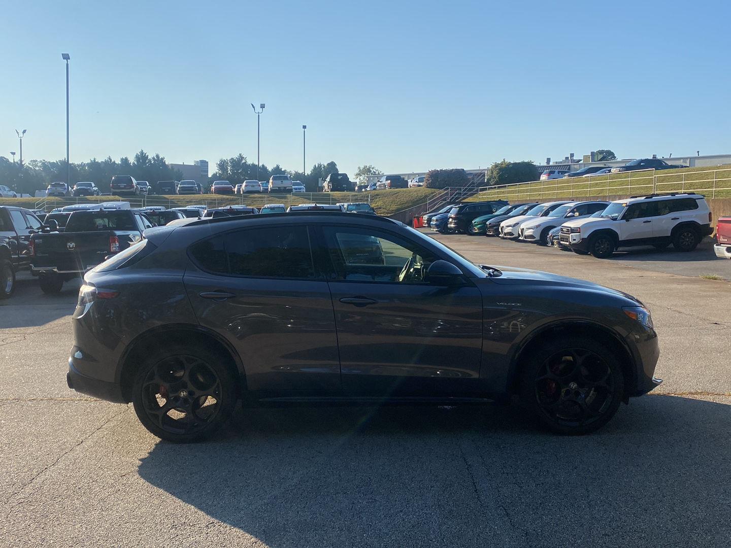 2024 Alfa Romeo Stelvio Tributo Italiano photo 3