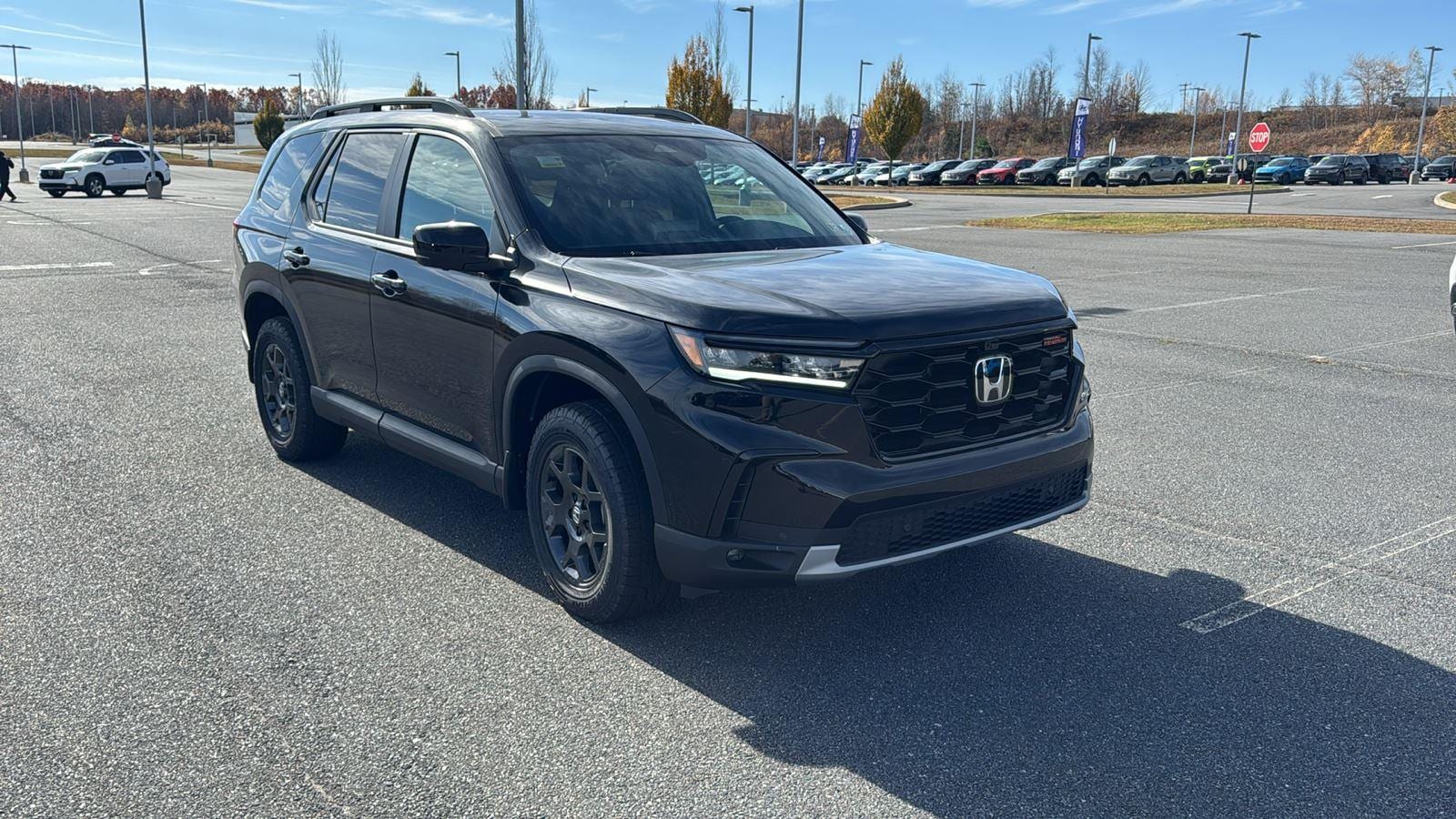 2025 Honda Pilot TrailSport's photo