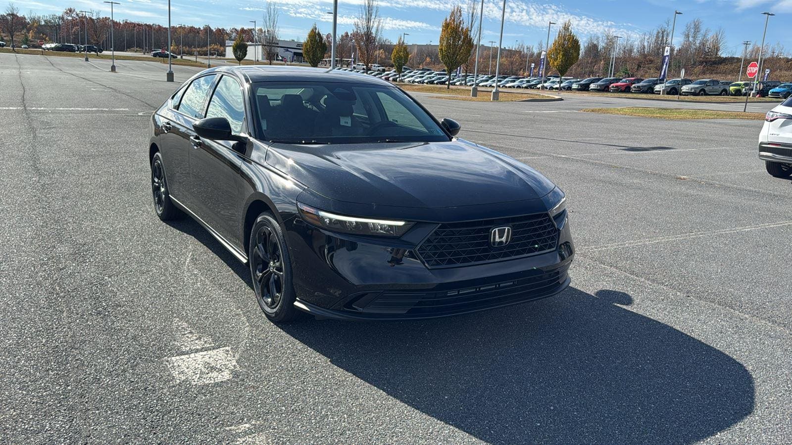 2025 Honda Accord SE's photo