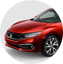 Sophisticated Body Lines