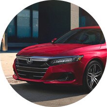 The Art of Evolution