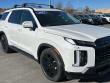 New 2025 Hyundai Palisade XRT AWD SUV