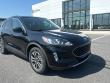 Used 2020 Ford Escape SEL SUV