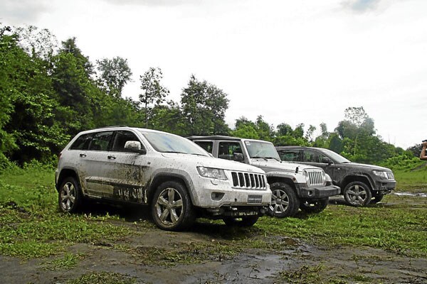 Jeeps Gone Wild.jpg
