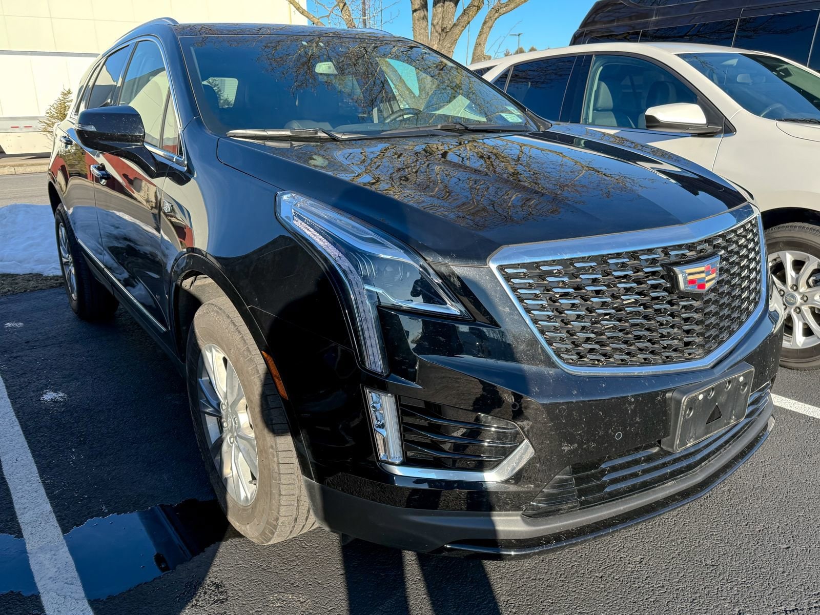 2025 Cadillac XT5 Luxury's photo