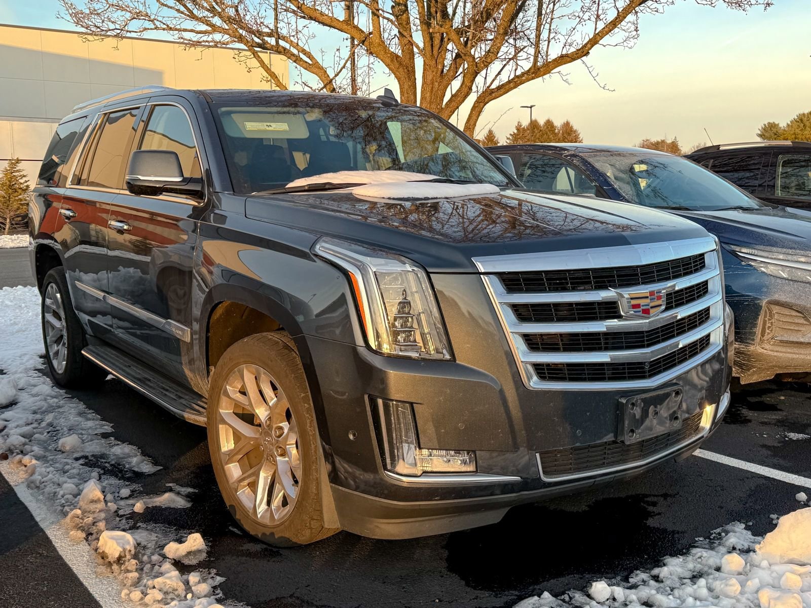 2020 Cadillac Escalade Luxury's photo
