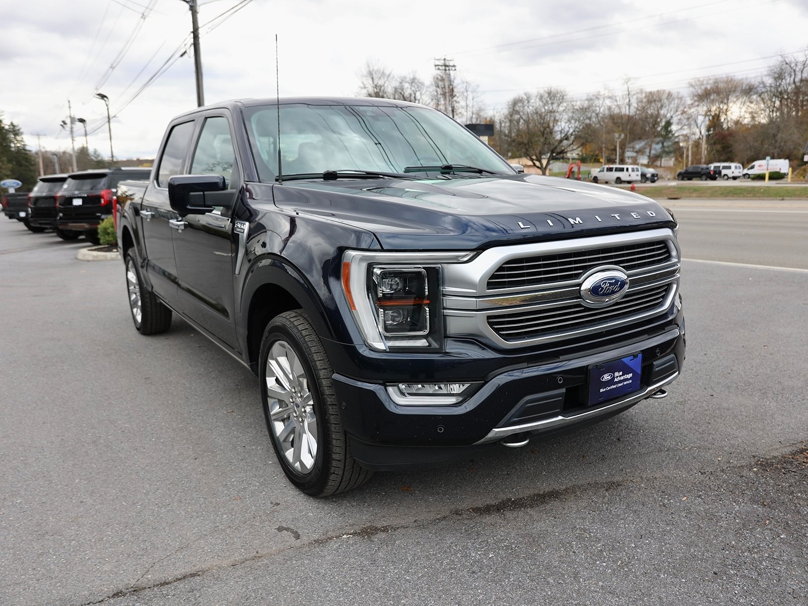 2021 Ford F-150 Limited's photo