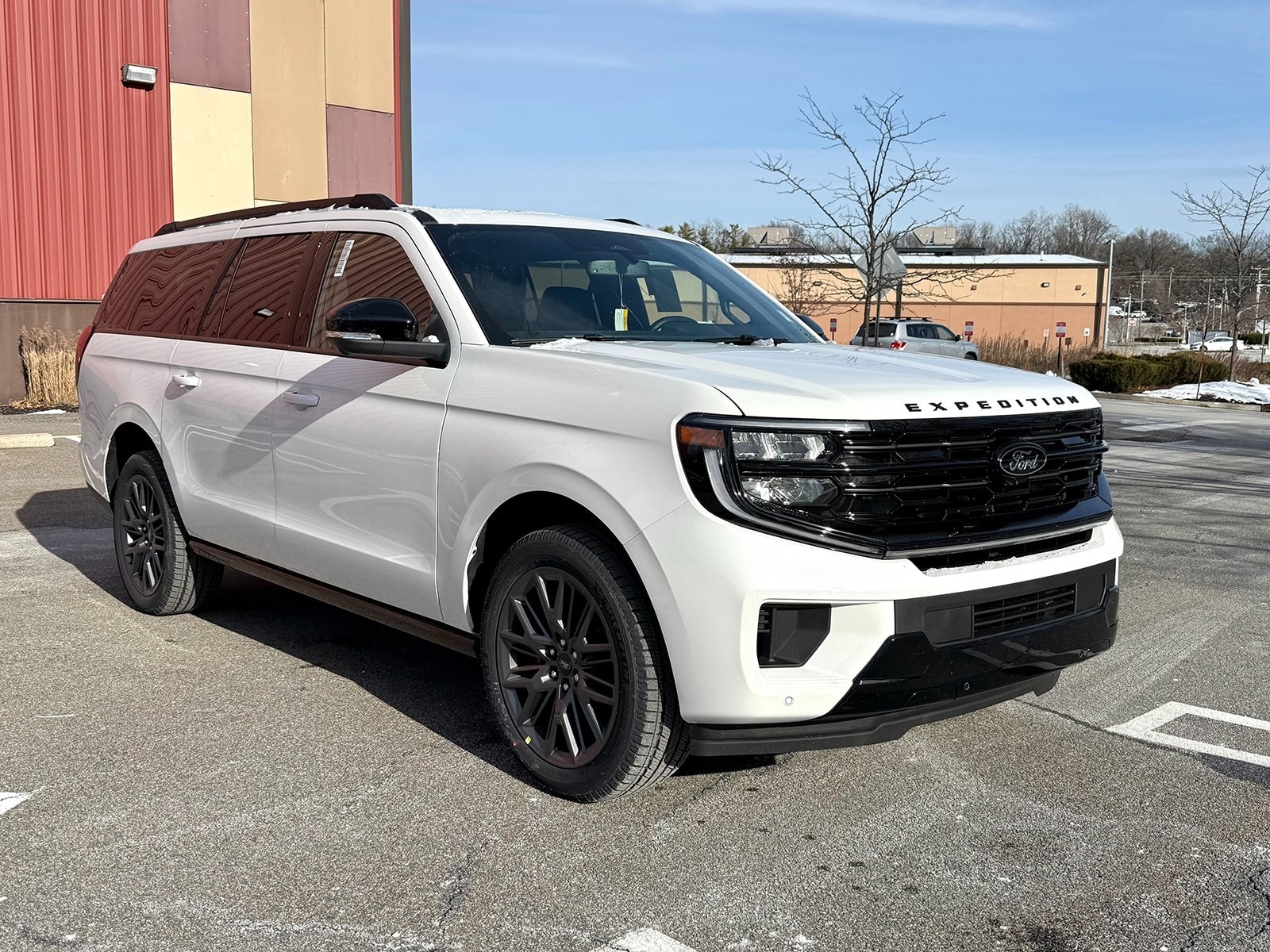 2025 Ford Expedition Platinum's photo
