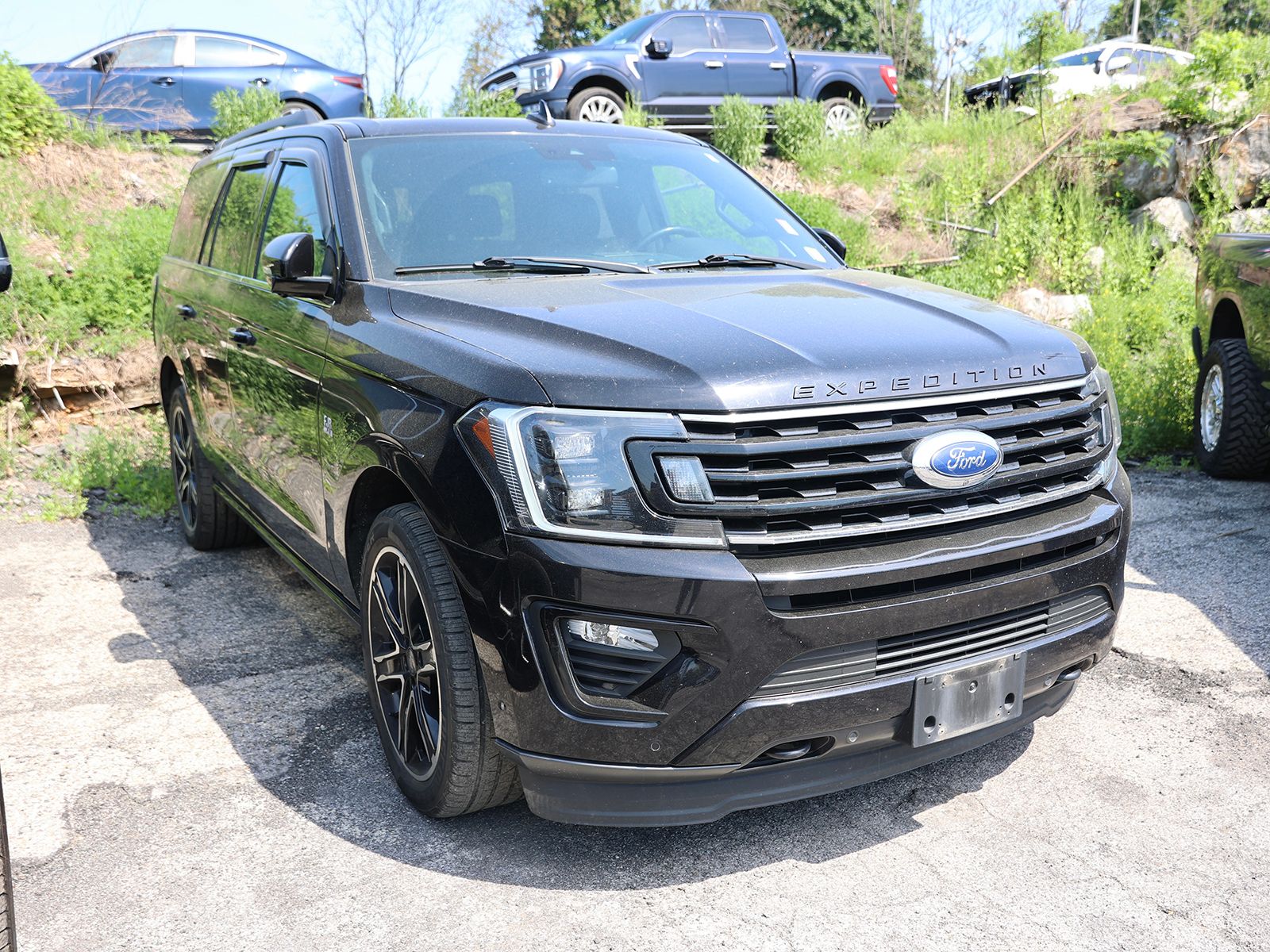 2019 Ford Expedition Limited 4X4's photo