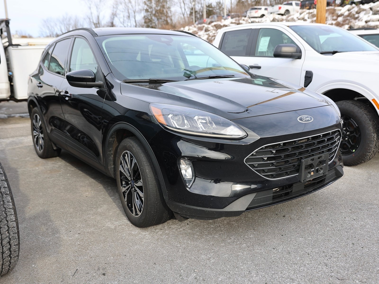 2022 Ford Escape SEL's photo