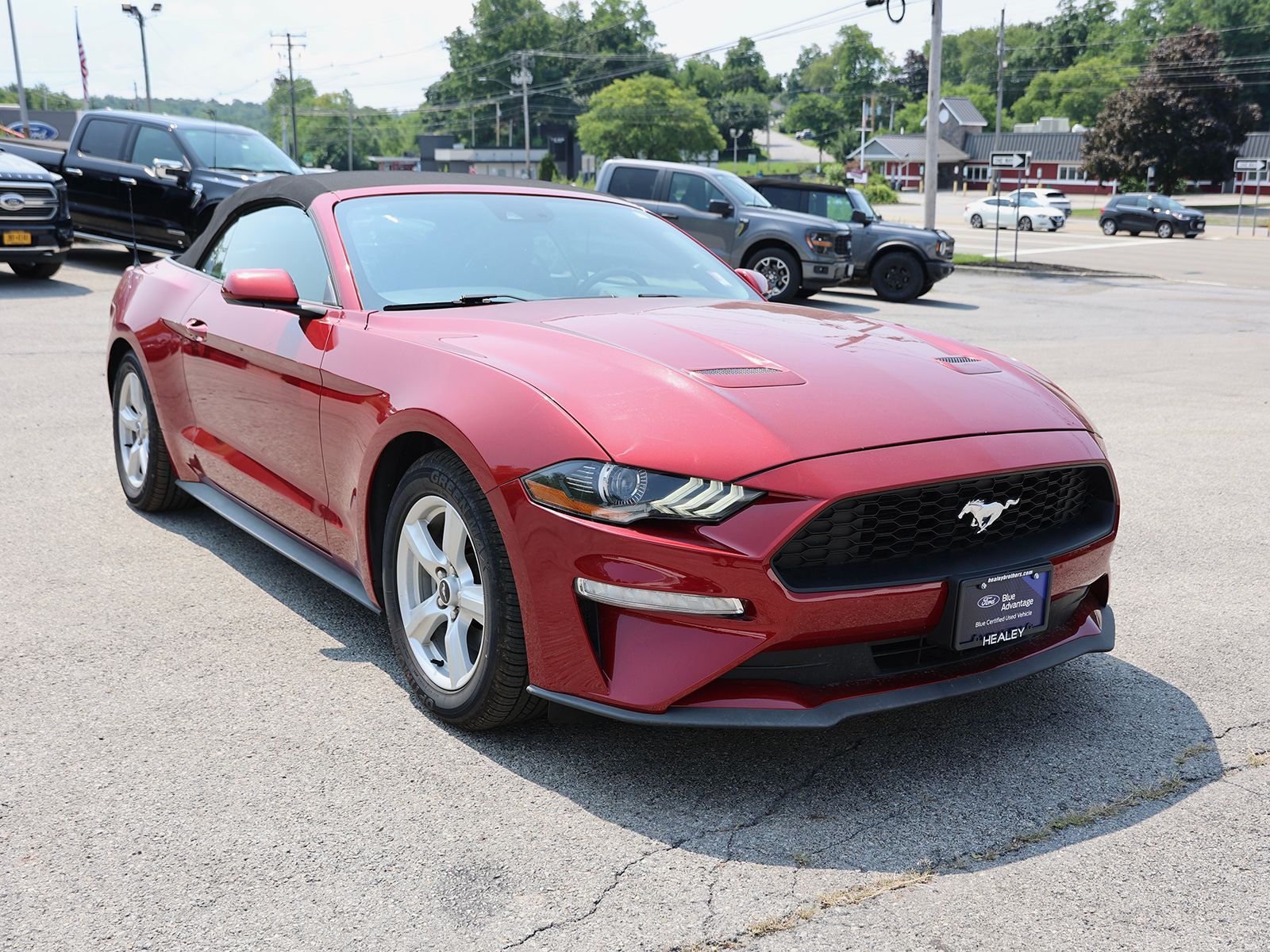 2019 Ford Mustang