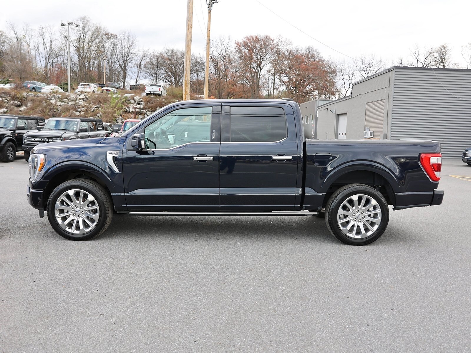 2021 Ford F-150 Limited photo 3