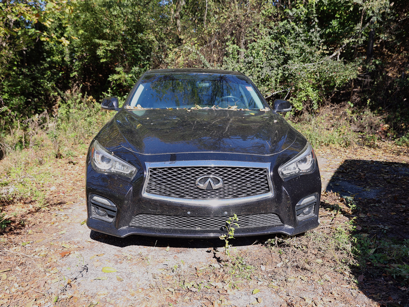 Used 2015 INFINITI Q50 S with VIN JN1BV7AP0FM339229 for sale in Poughkeepsie, NY