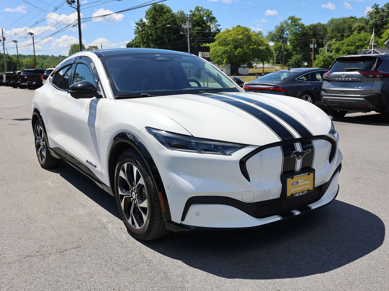 2021 Ford Mustang-Mach-e Premium's photo