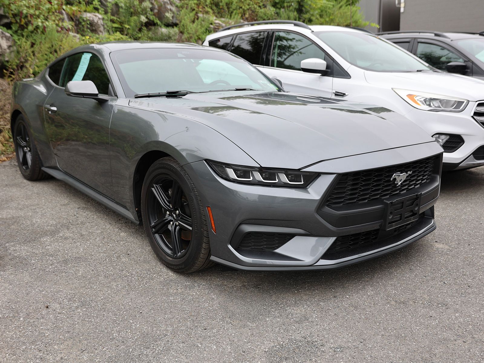 2024 Ford Mustang