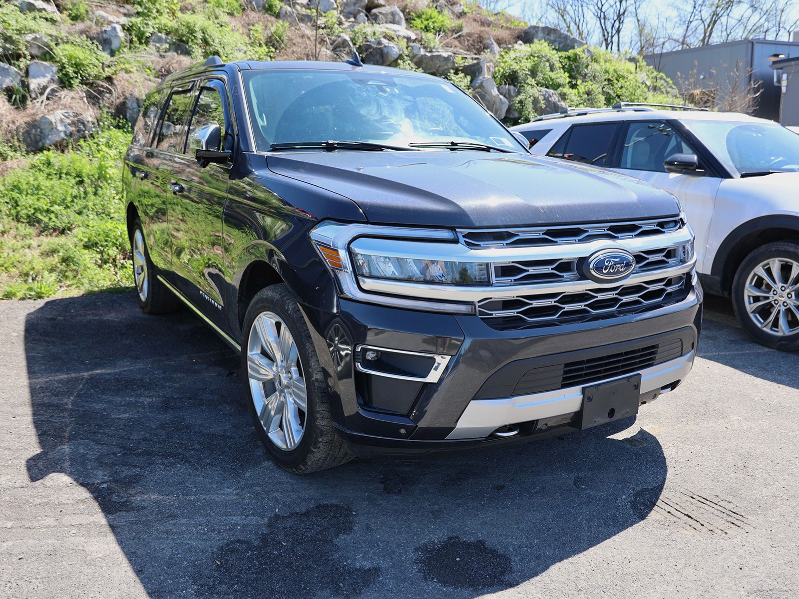 2024 Ford Expedition Platinum 4x4's photo