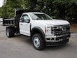 Ford F-600 Chassis