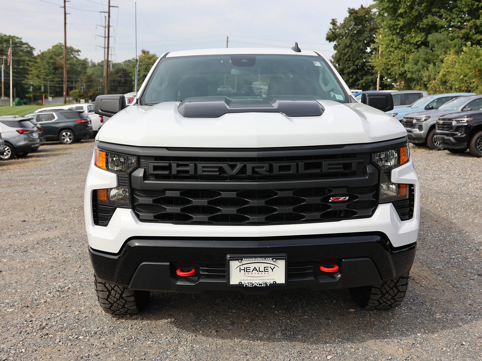 2022 Chevrolet Silverado 1500 Custom Trail Boss photo 2