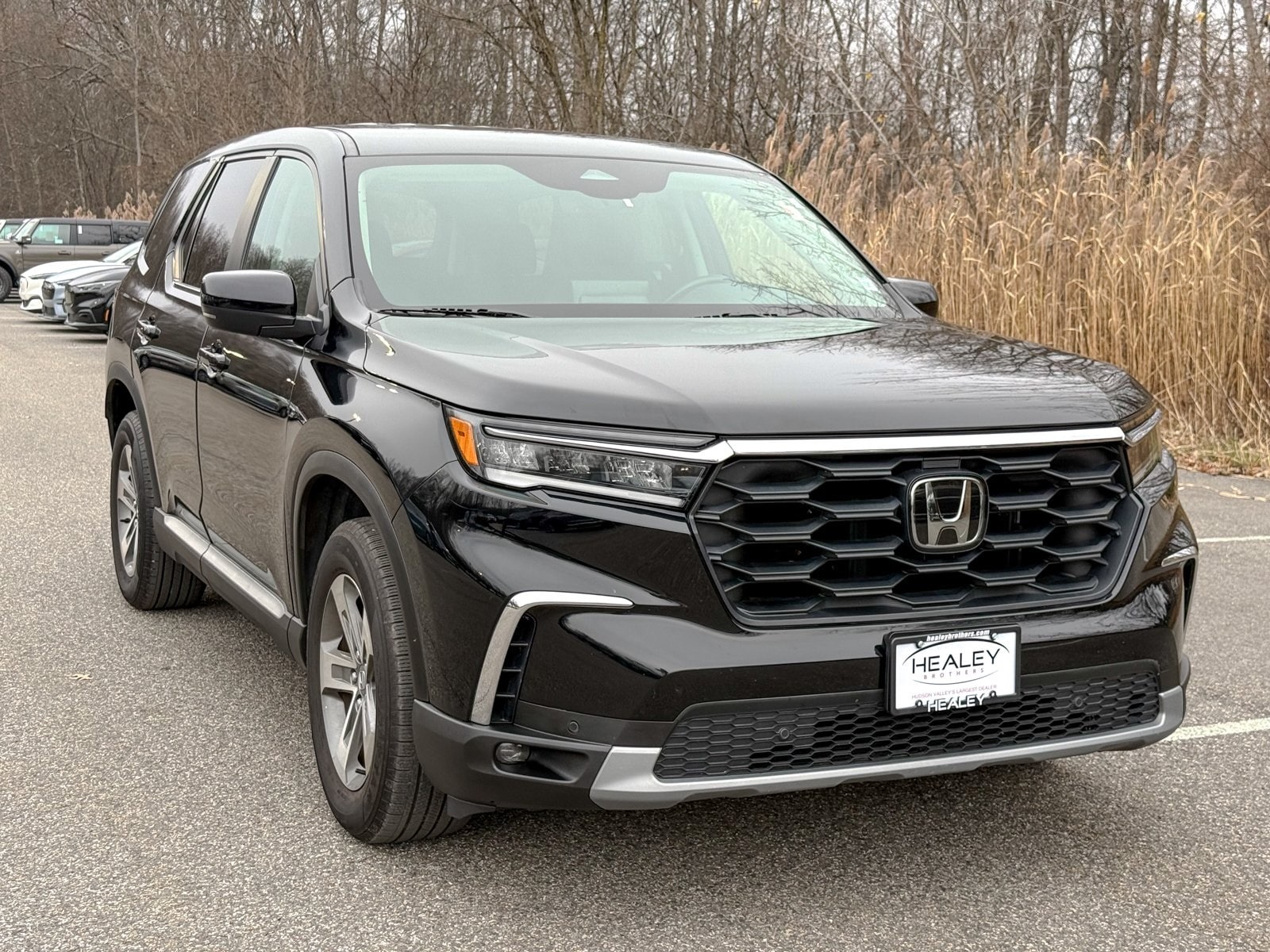 2023 Honda Pilot EX-L's photo