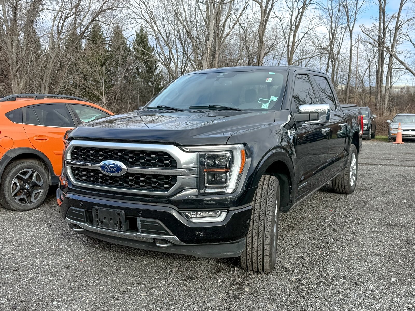 2023 Ford F-150 Platinum photo 3