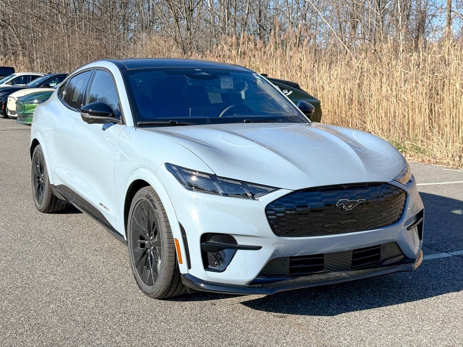 2025 Ford Mustang Mach-E GT AWD's photo