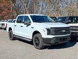  Ford F-150 Lightning