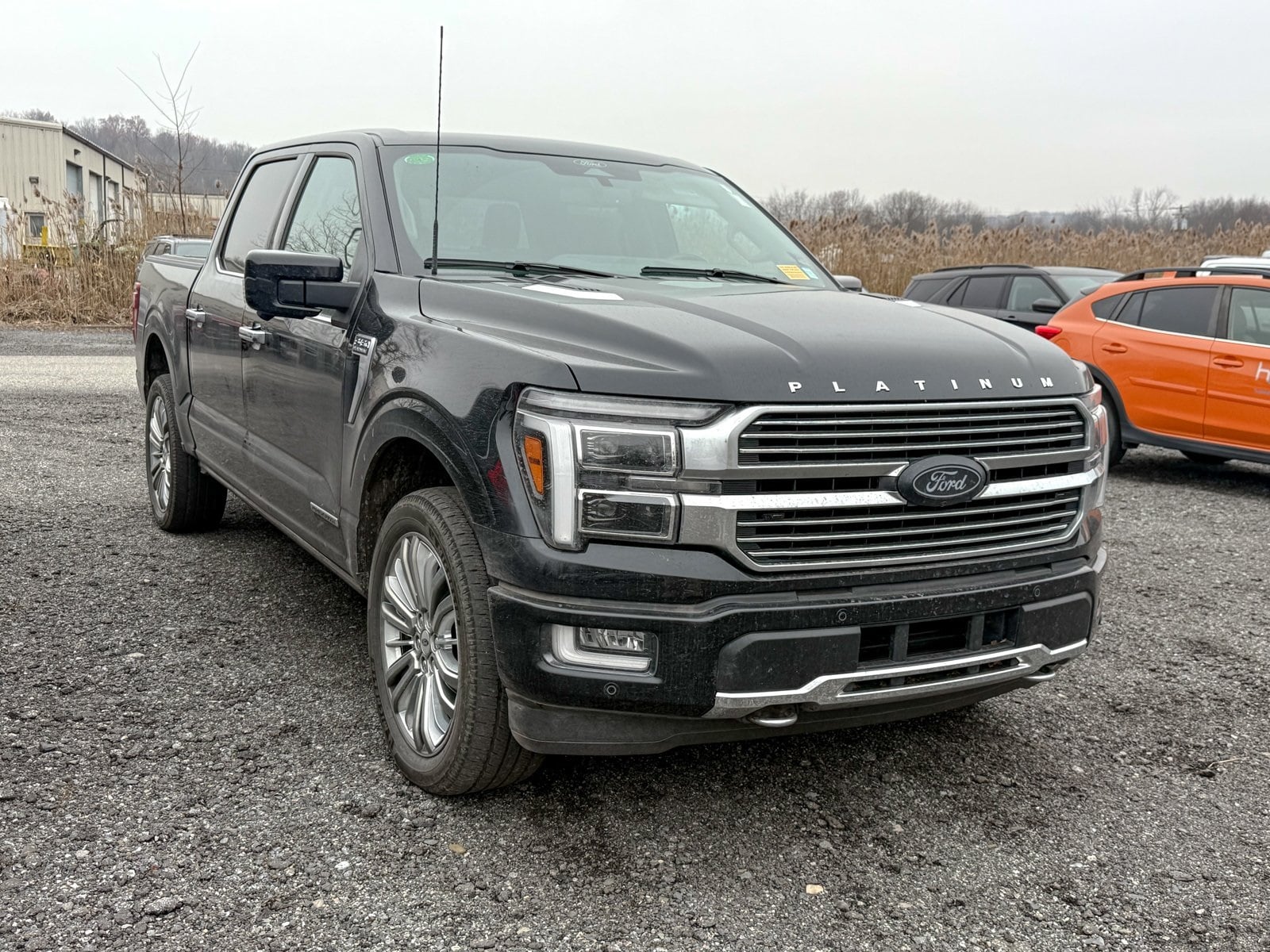 2024 Ford F-150 Platinum's photo