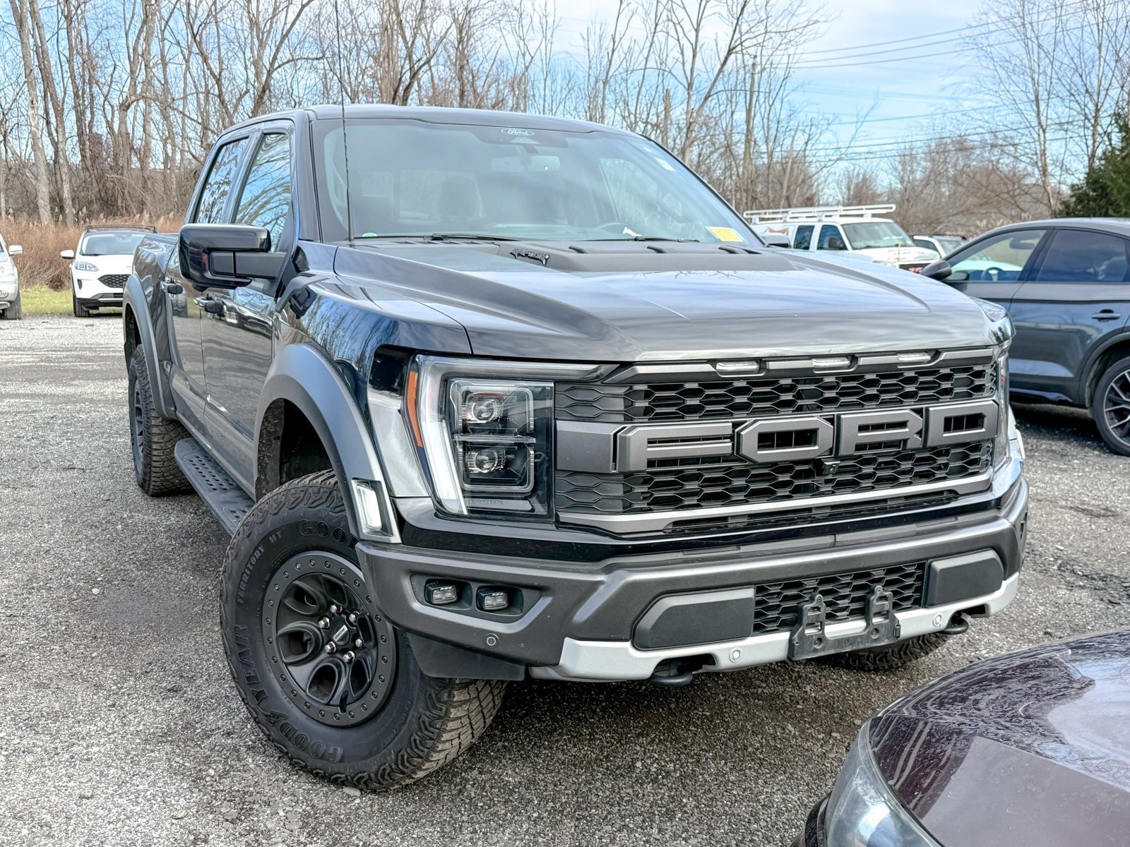2022 Ford F-150 Raptor's photo