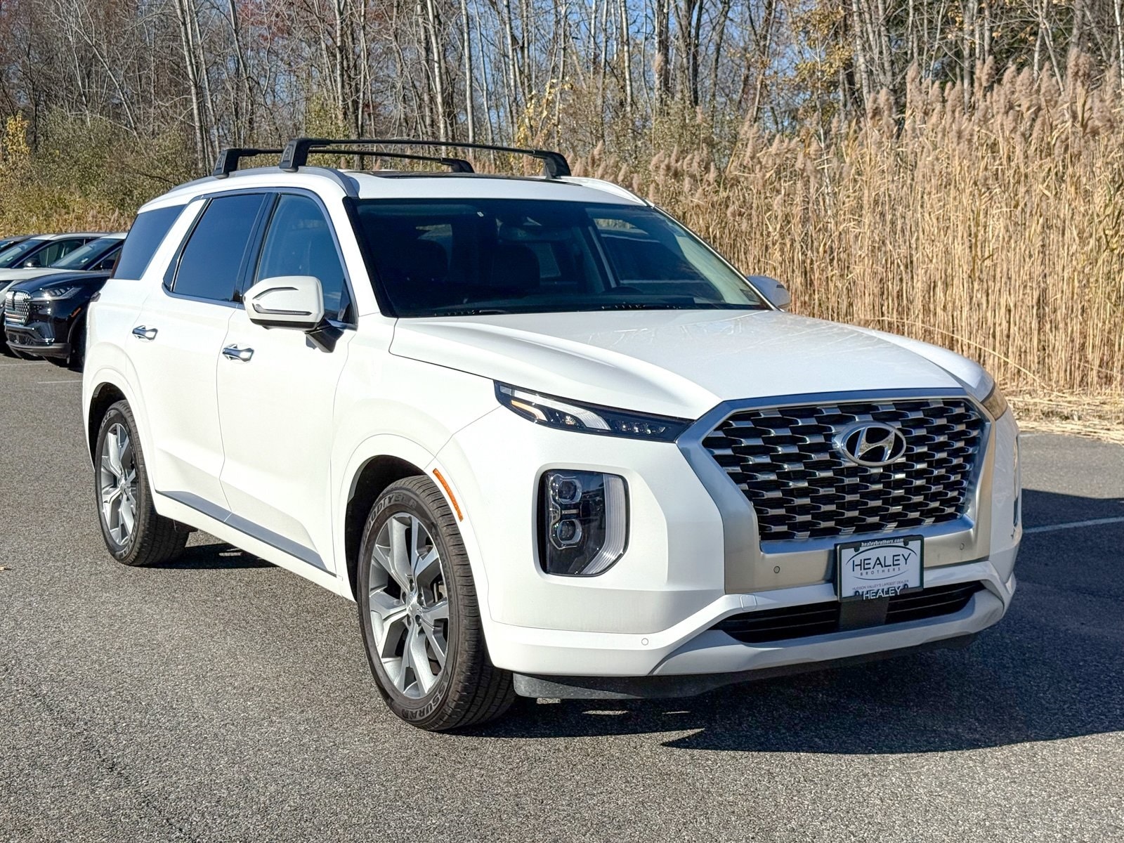 2021 Hyundai Palisade Limited's photo