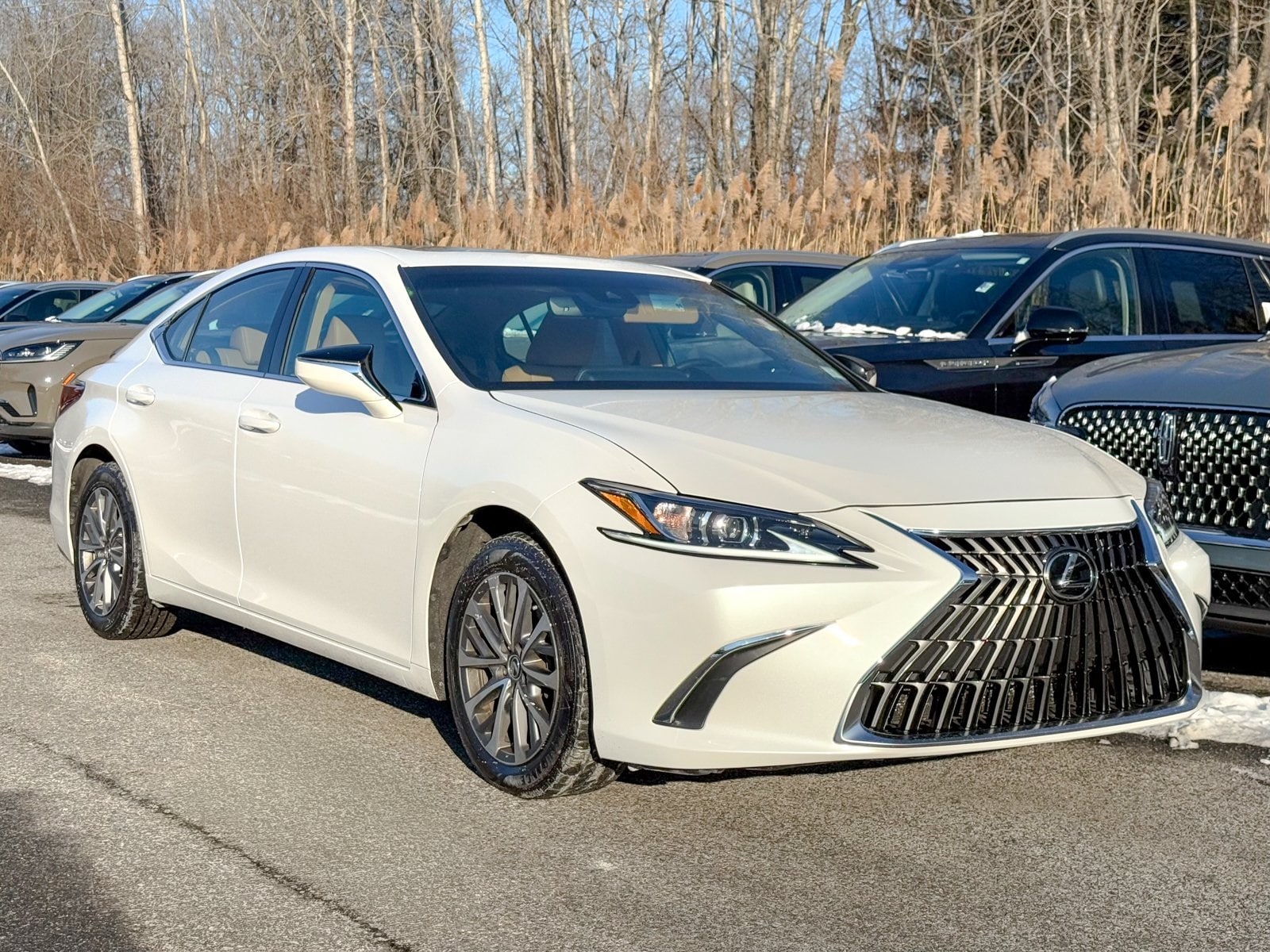 2022 Lexus ES 350's photo