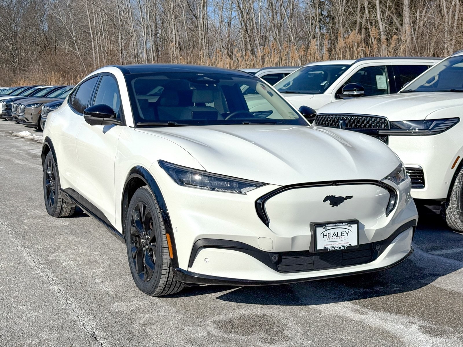 2023 Ford Mustang Mach-E Premium AWD