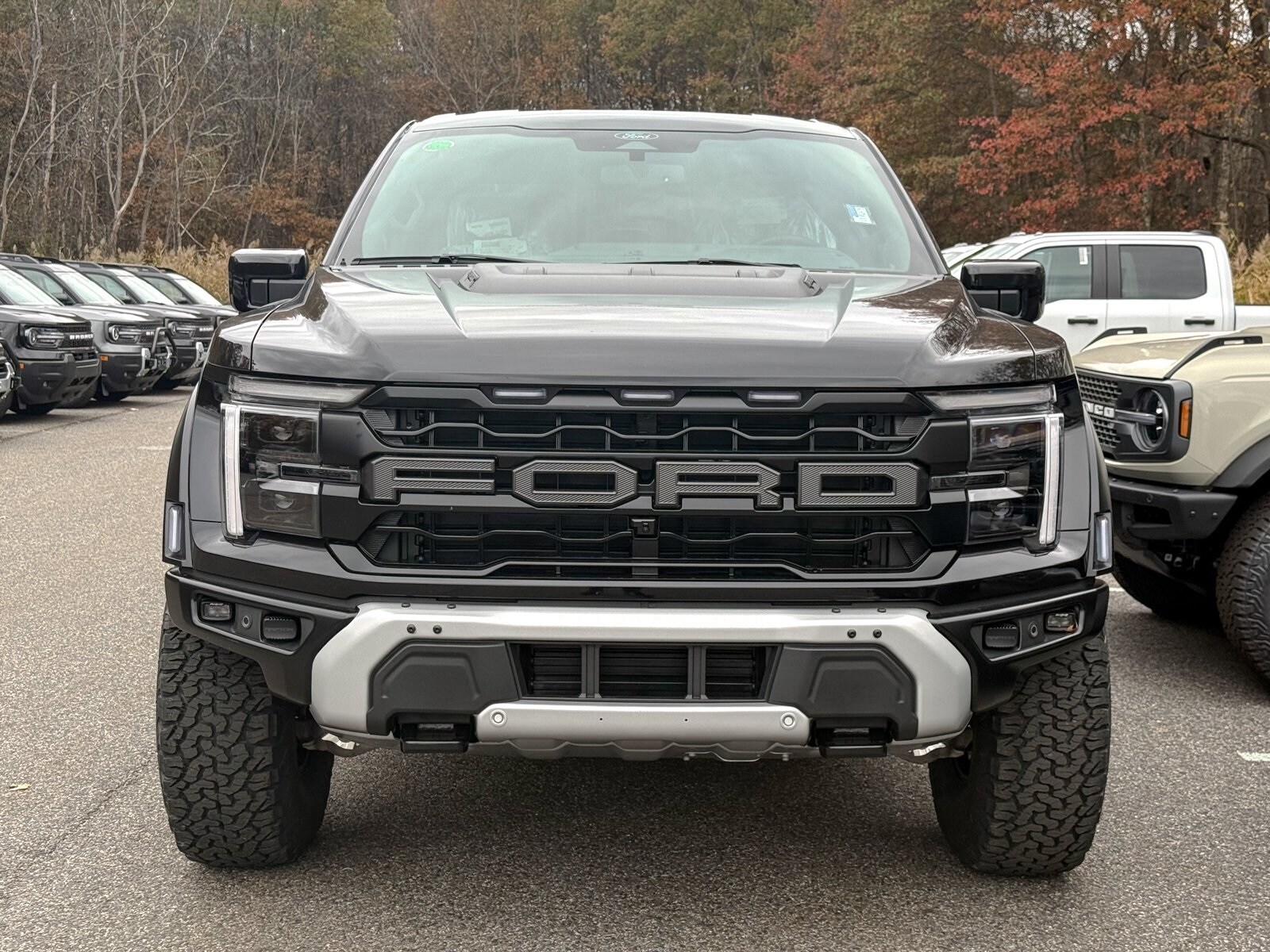 2025 Ford F-150 Raptor photo 2