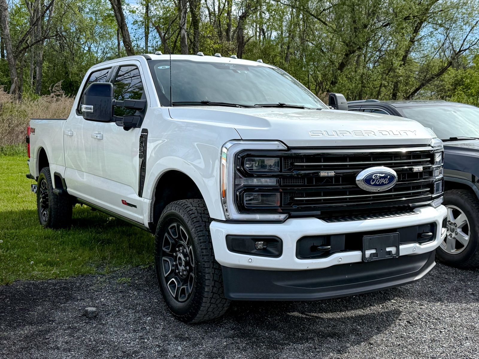 2025 Ford F-350 Platinum 4x4 Crew Cab 6-3/4' Box SRW's photo