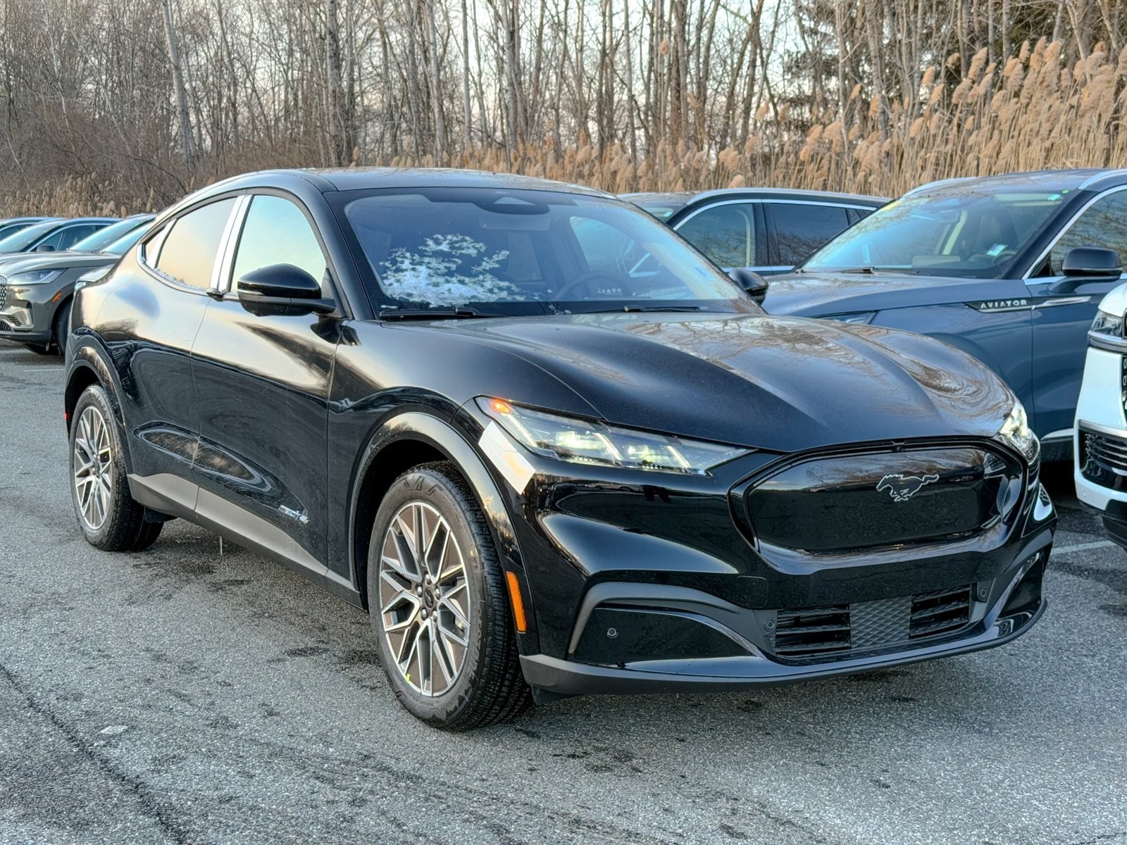 2025 Ford Mustang Mach-E Premium AWD's photo