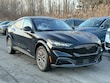  Ford Mustang Mach-E