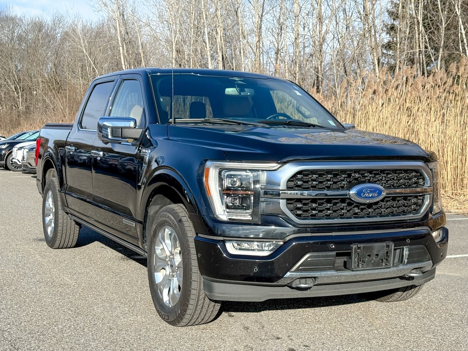 2023 Ford F-150 Platinum's photo