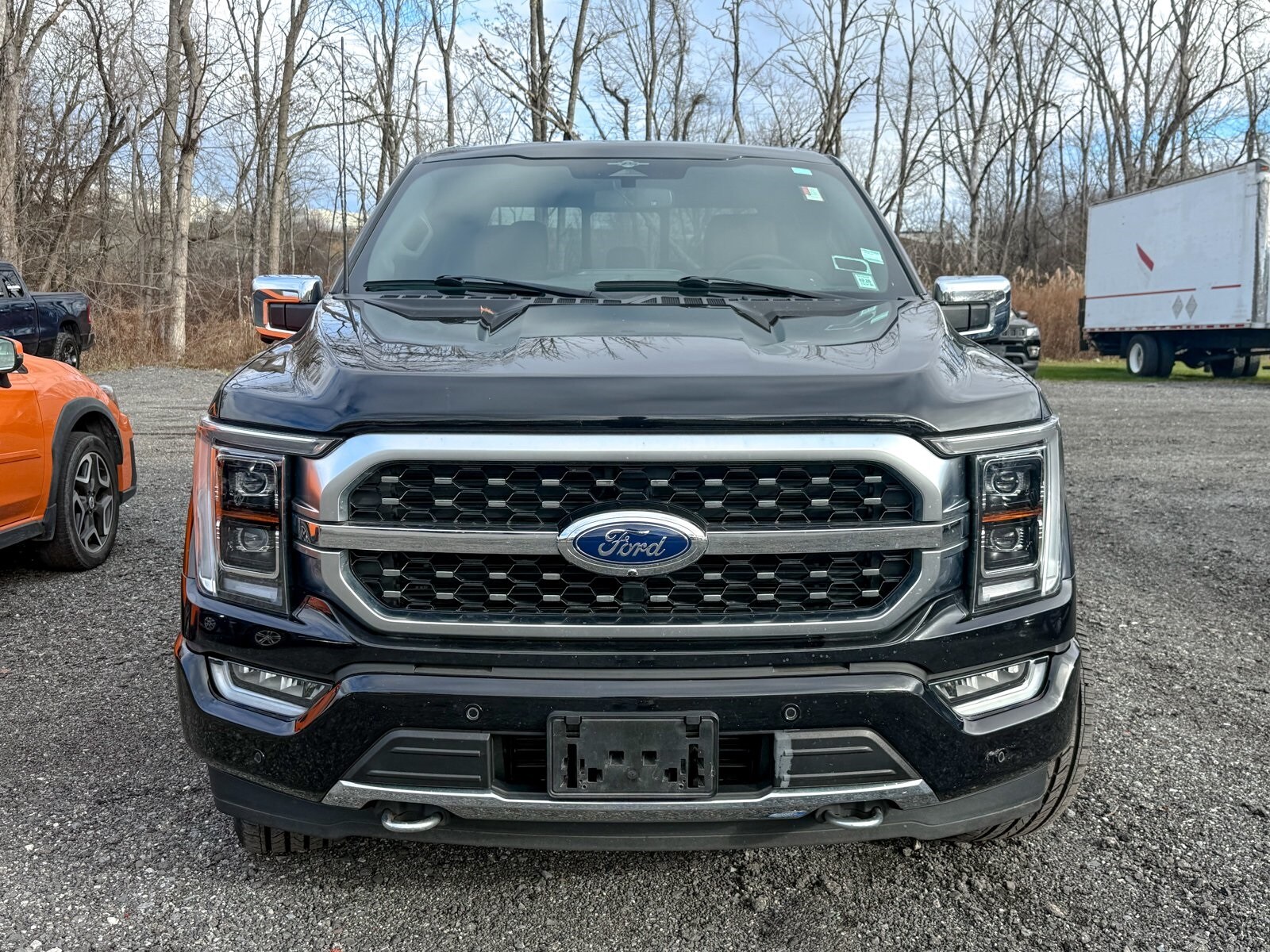 2023 Ford F-150 Platinum photo 2
