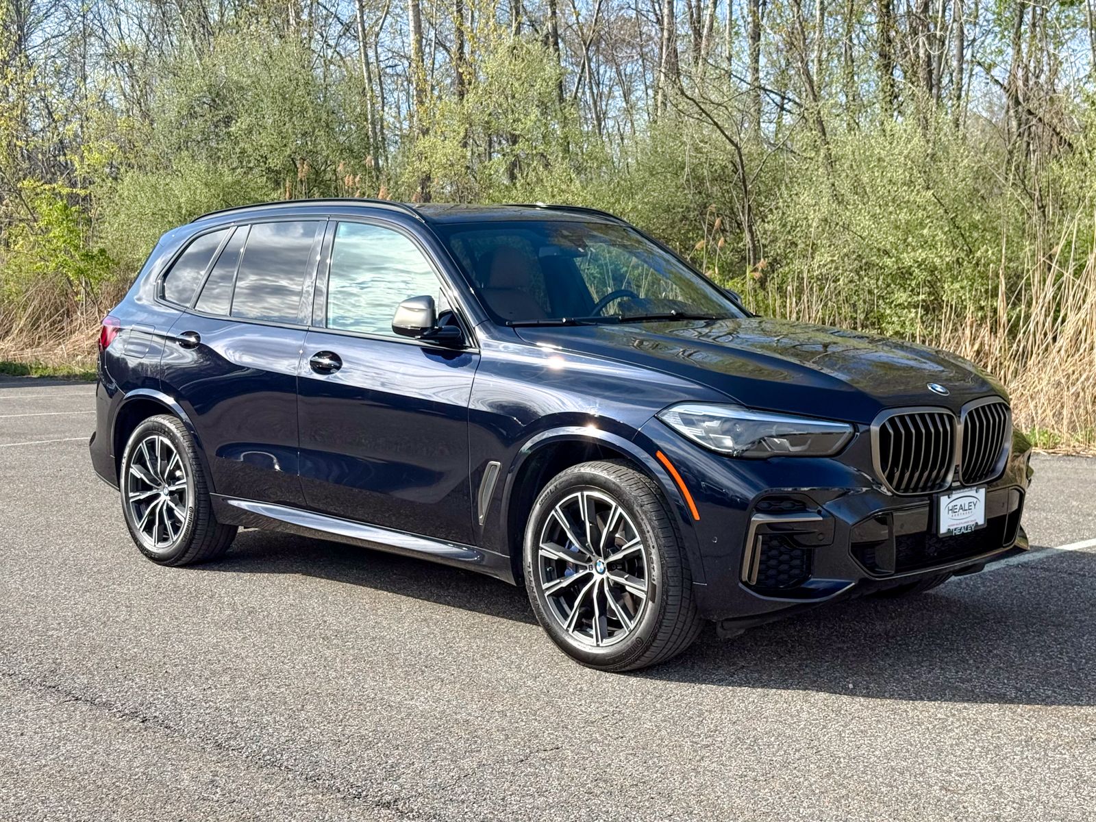 2023 BMW X5 M50i's photo