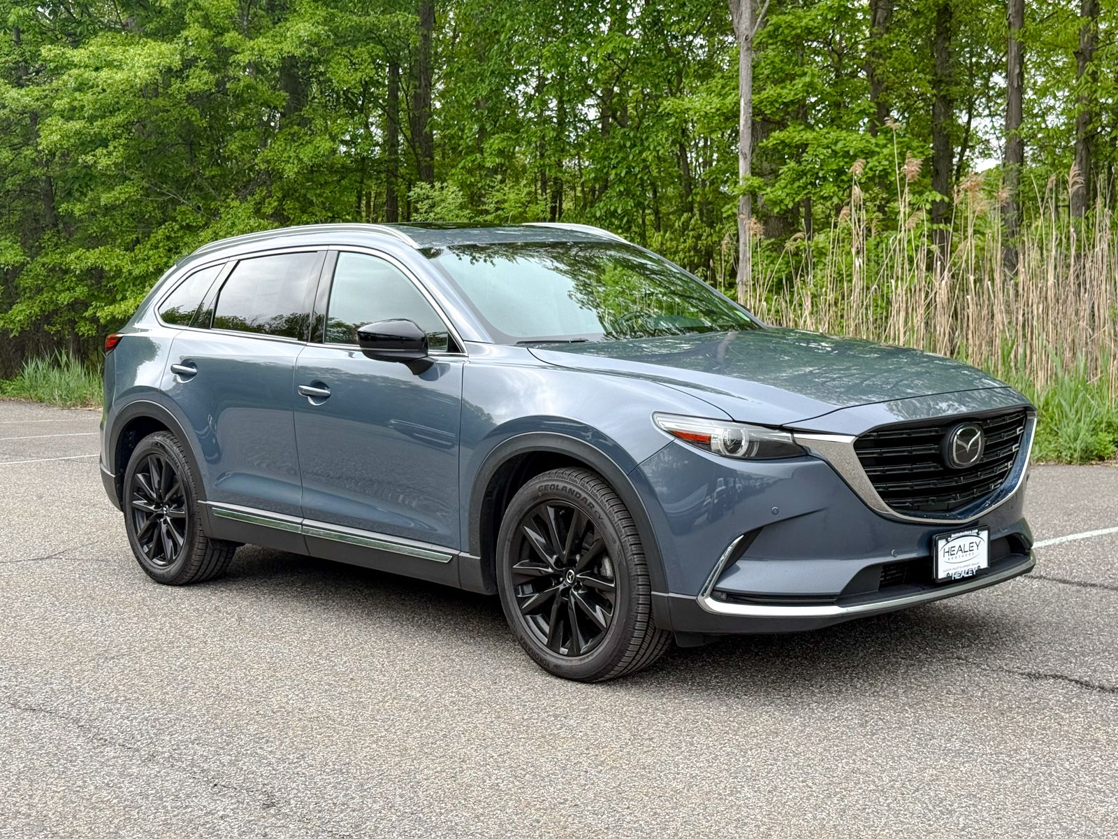 2022 Mazda CX-9 Carbon Edition AWD's photo