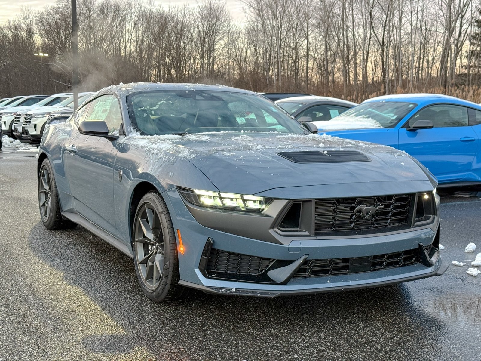 2025 Ford Mustang Dark Horse's photo