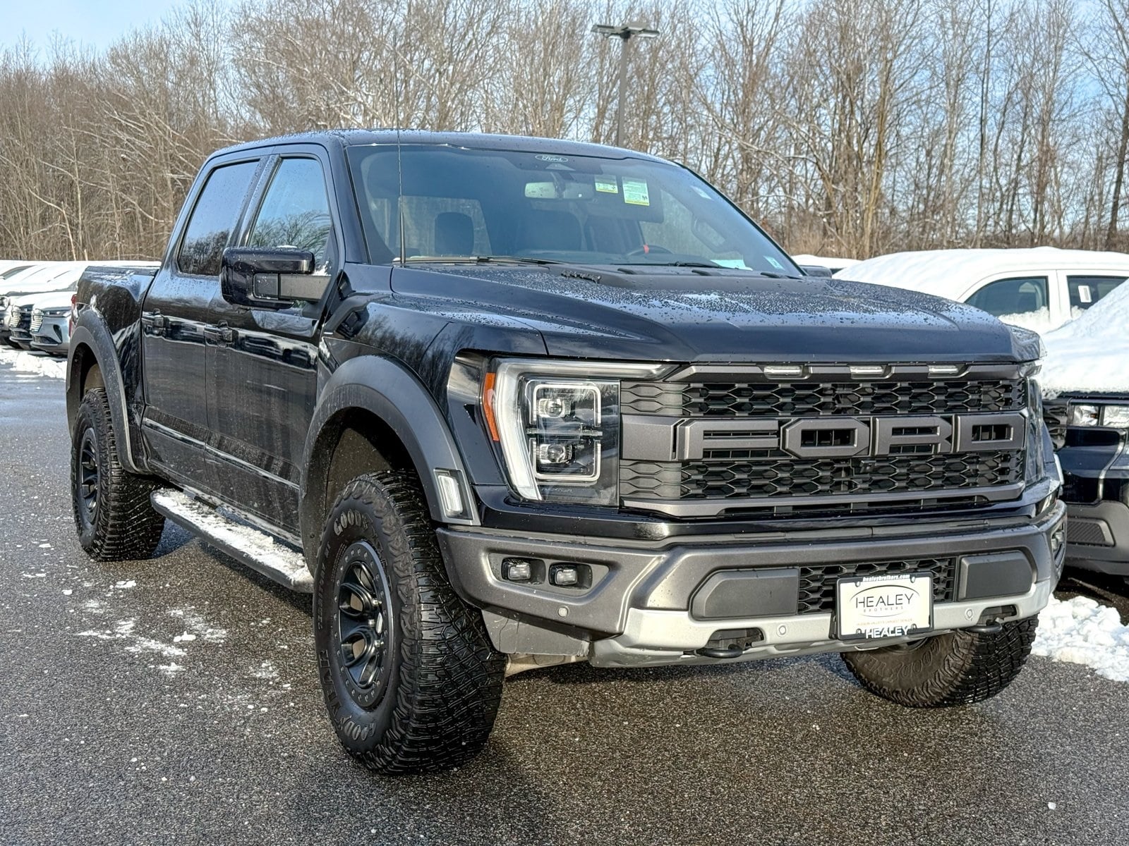 2022 Ford F-150 Raptor's photo