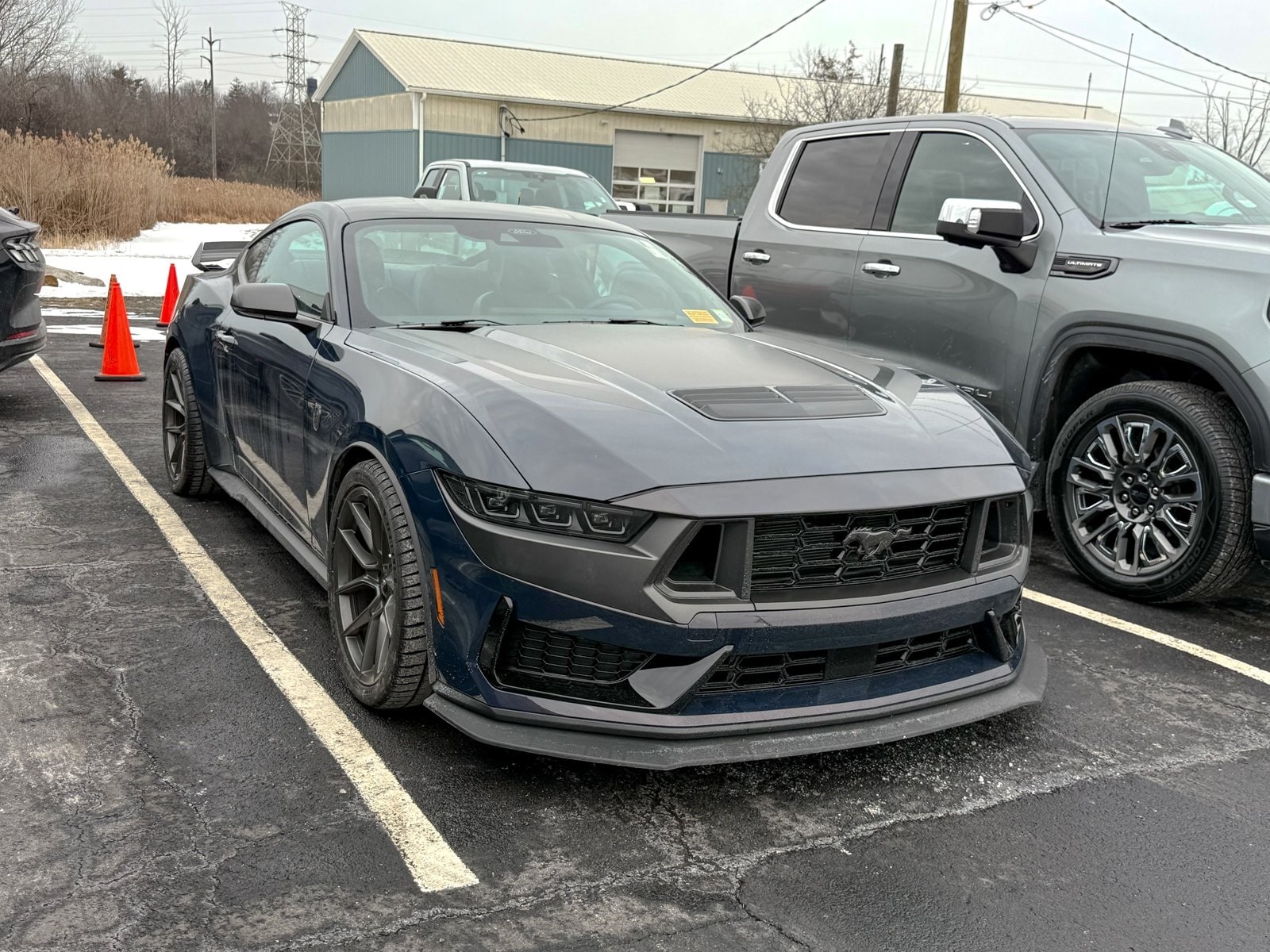 2024 Ford Mustang Dark Horse's photo