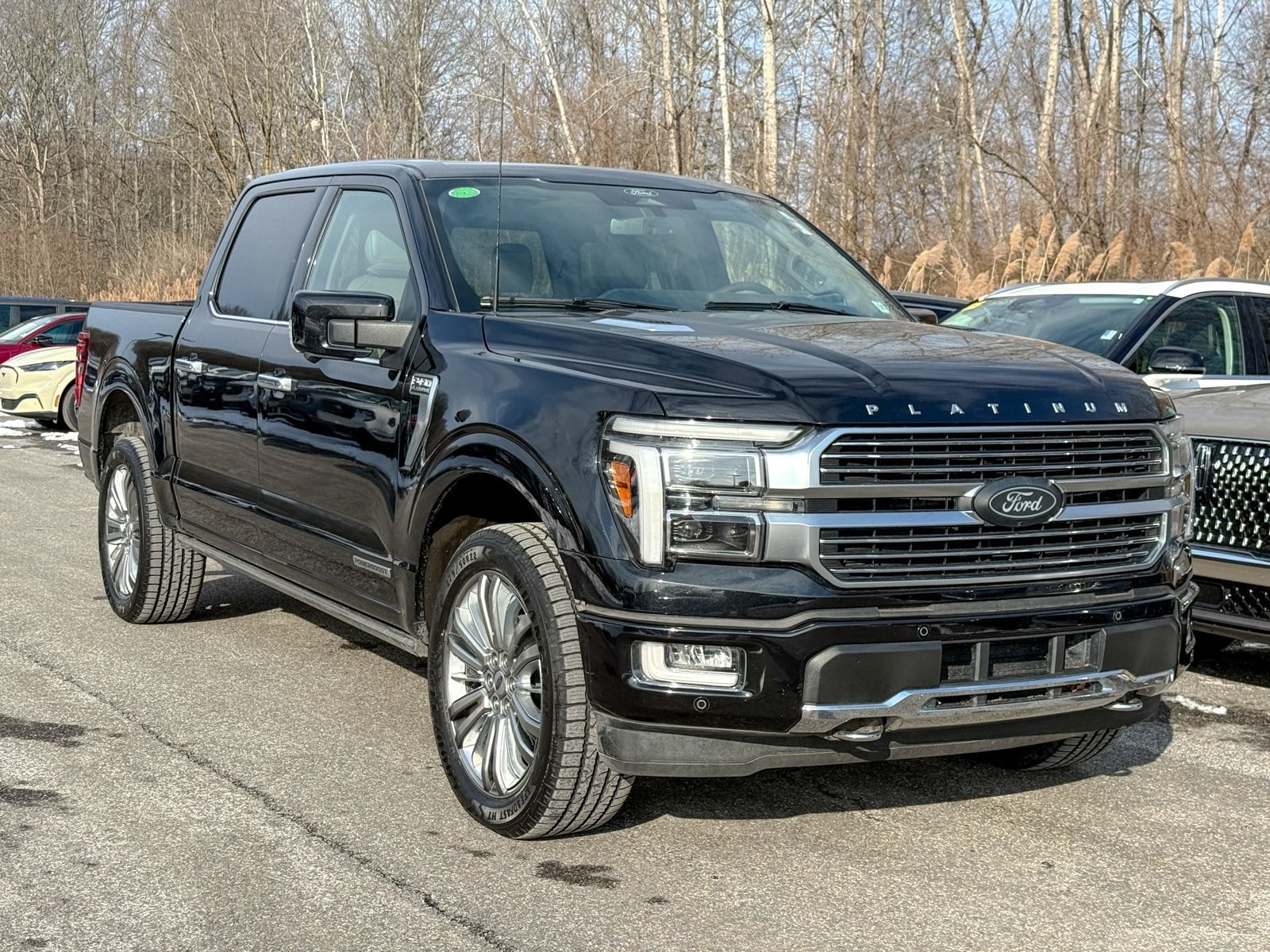 2024 Ford F-150 Platinum's photo