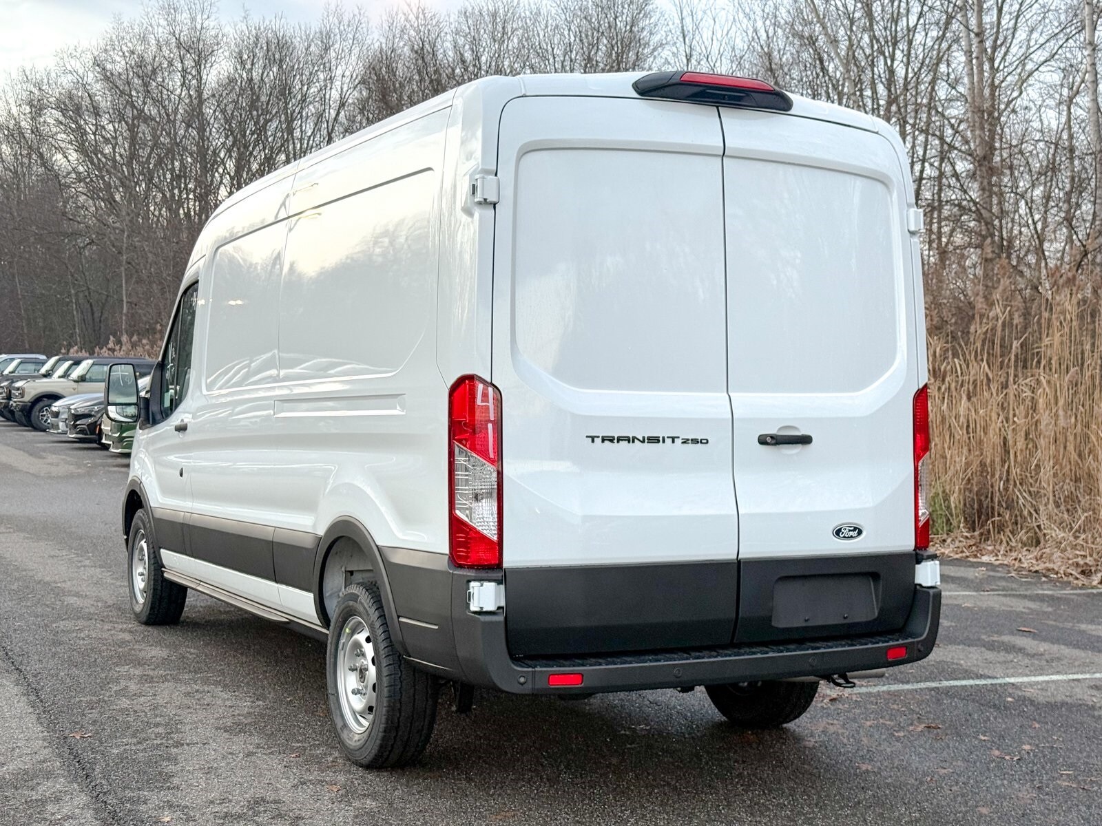 2026 Ford Transit photo 4
