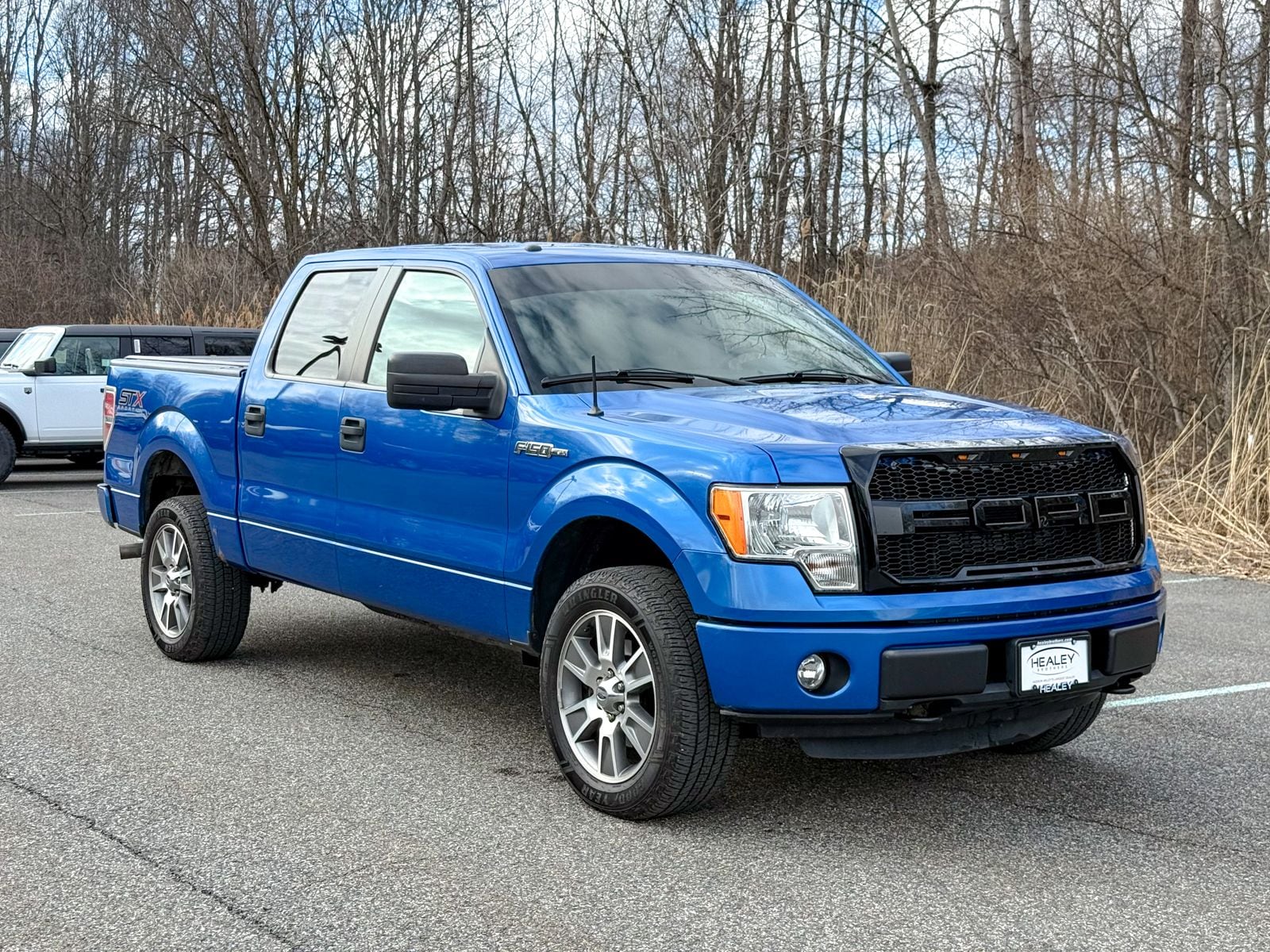 2014 Ford F-150 Truck 