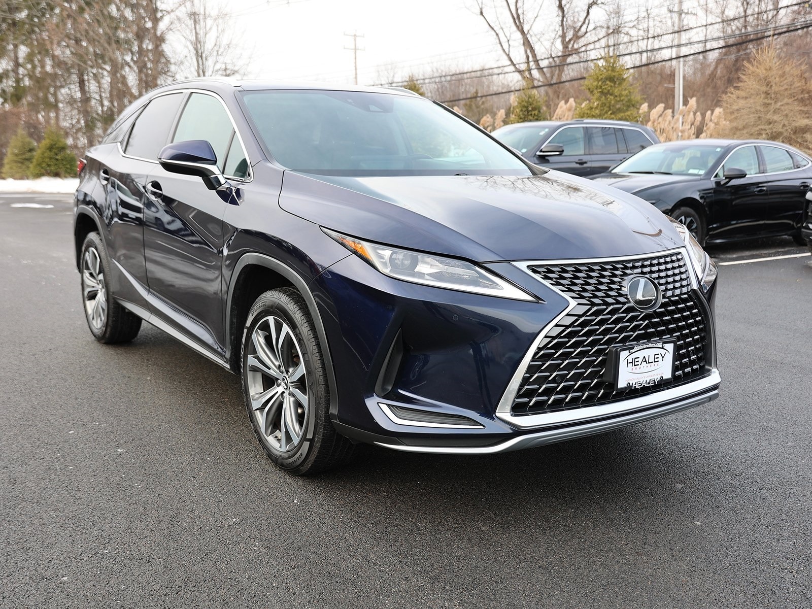 2021 Lexus RX 350's photo