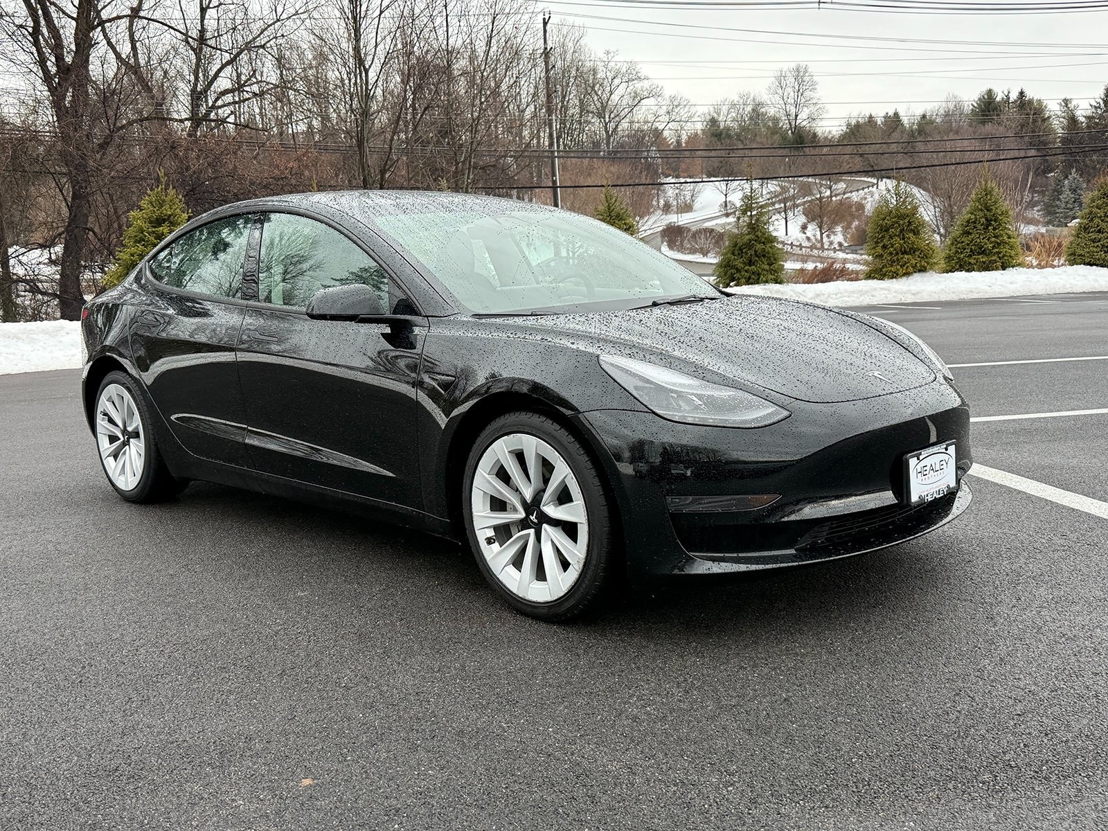 2023 Tesla Model 3 Base's photo