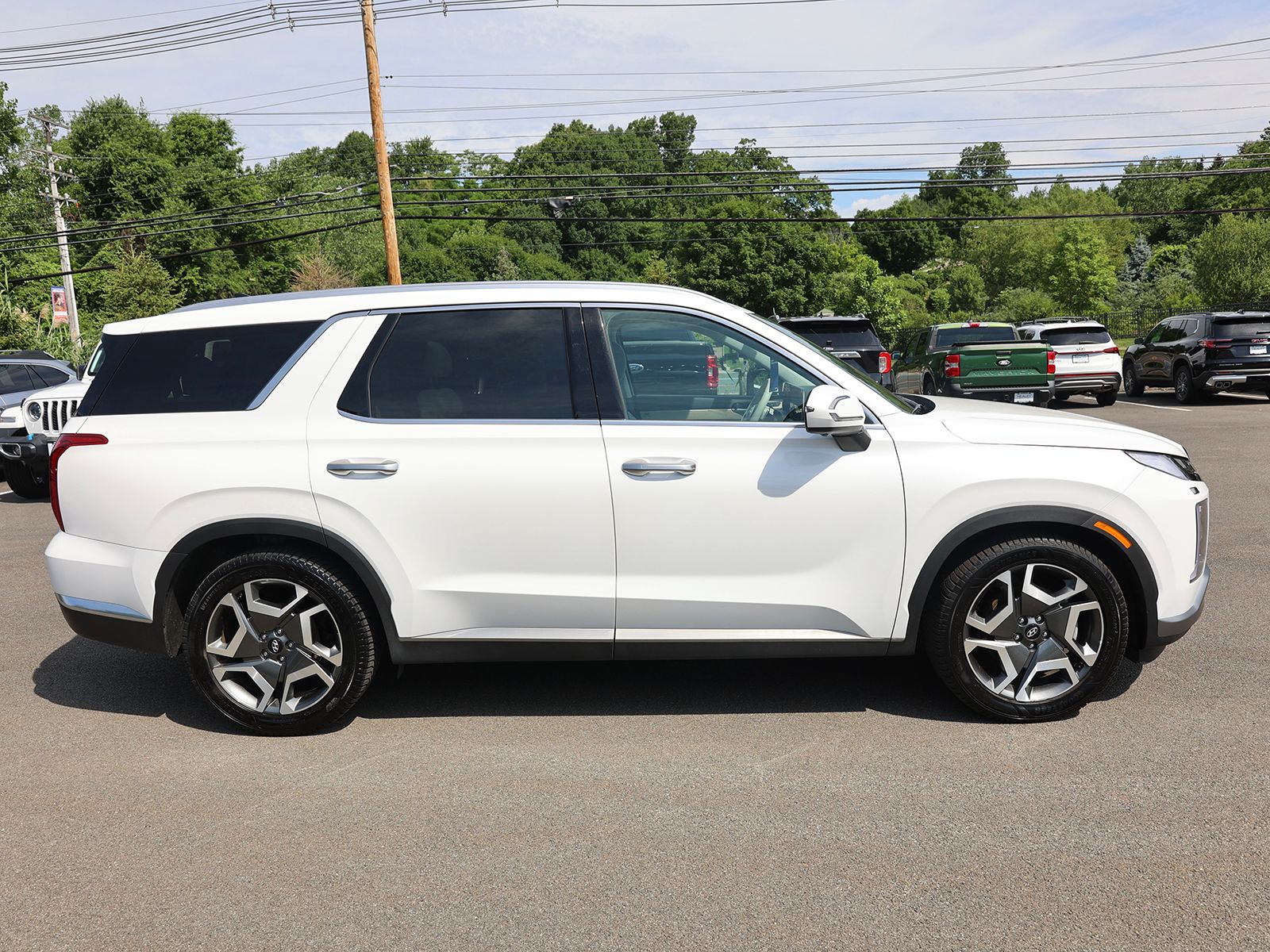 2023 Hyundai Palisade Limited - Photo 8