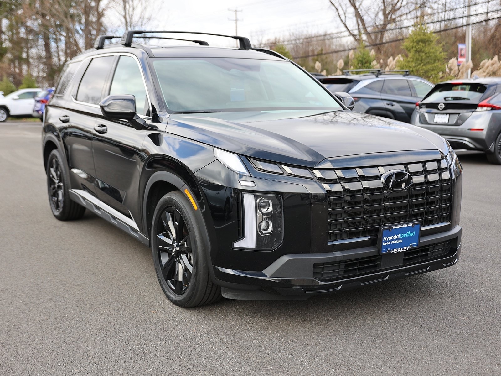 2023 Hyundai Palisade XRT's photo