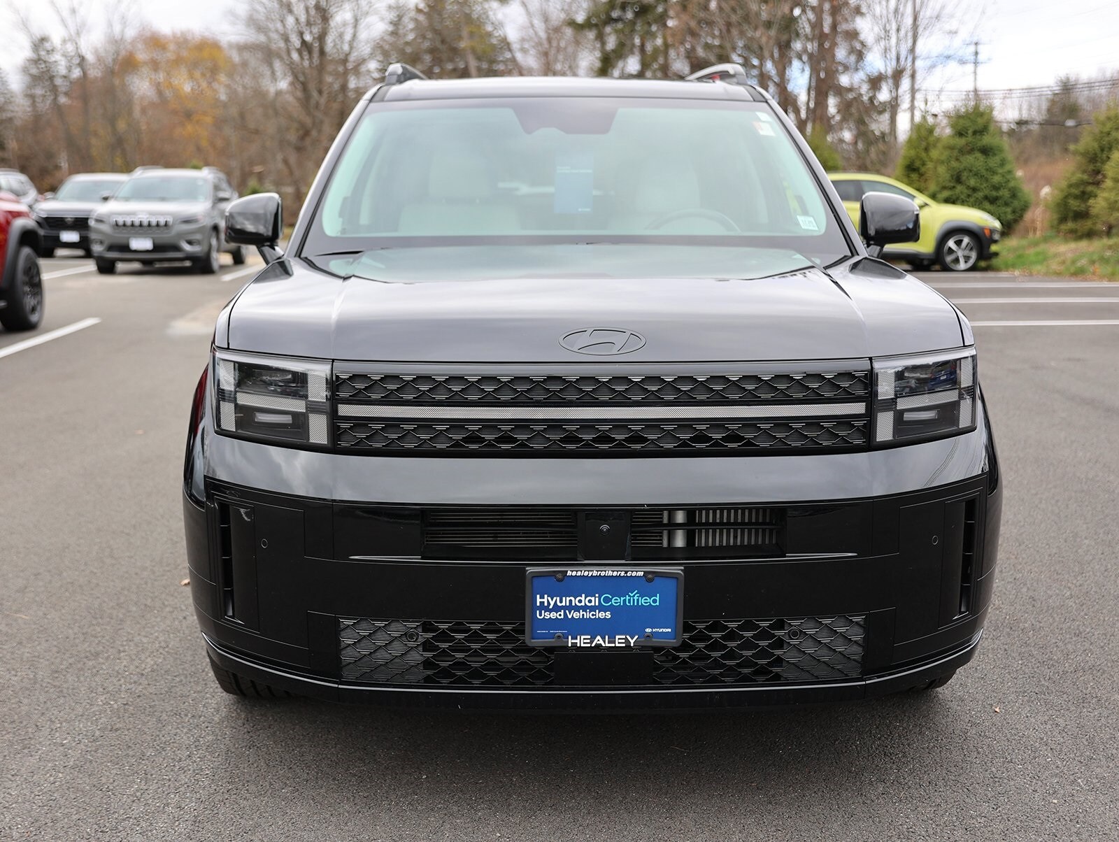 2024 Hyundai Santa Fe Calligraphy photo 2